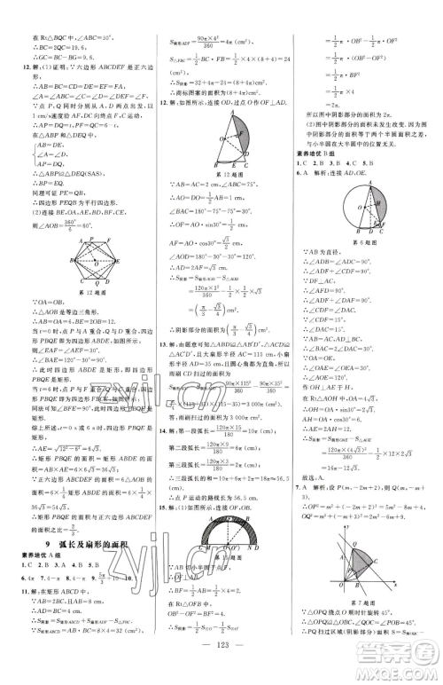 延边大学出版社2023细解巧练九年级下册数学鲁教版五四制参考答案