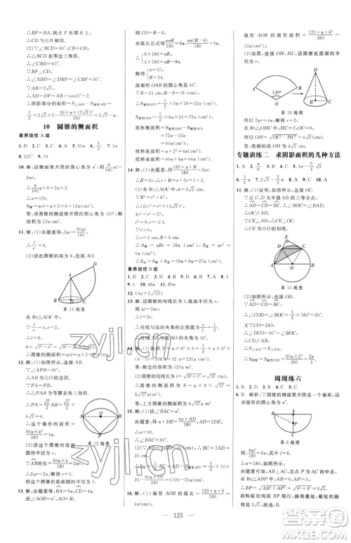 延边大学出版社2023细解巧练九年级下册数学鲁教版五四制参考答案