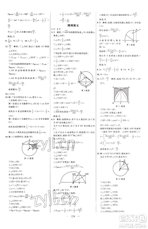 延边大学出版社2023细解巧练九年级下册数学鲁教版五四制参考答案