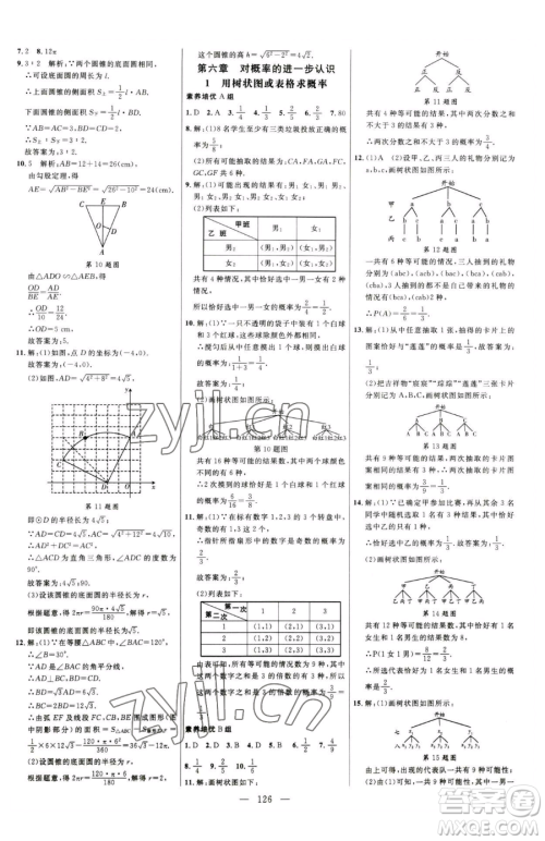 延边大学出版社2023细解巧练九年级下册数学鲁教版五四制参考答案