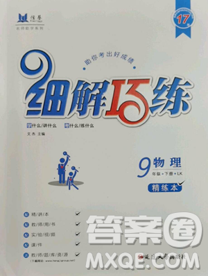 延边大学出版社2023细解巧练九年级下册物理鲁教版五四制参考答案