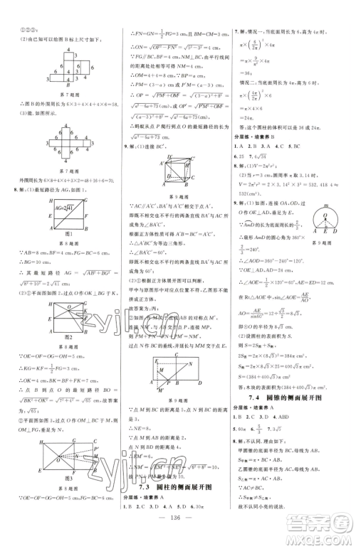 延边大学出版社2023细解巧练九年级下册数学青岛版参考答案