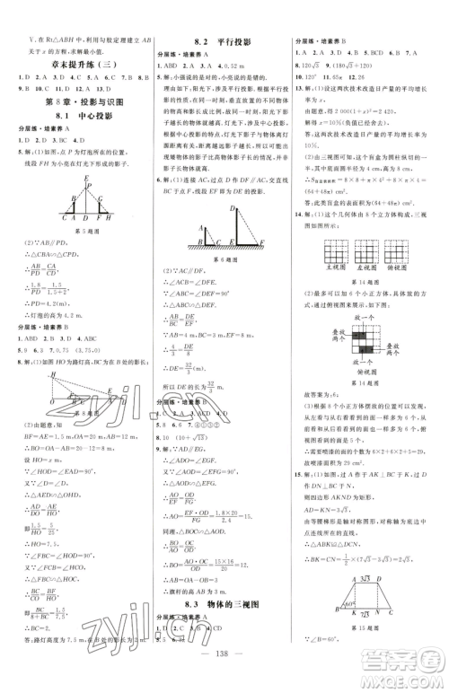 延边大学出版社2023细解巧练九年级下册数学青岛版参考答案