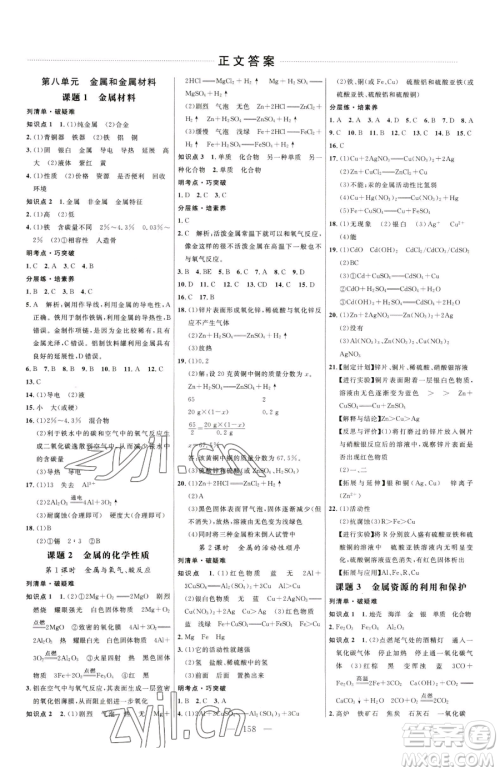 延边大学出版社2023细解巧练九年级下册化学人教版参考答案