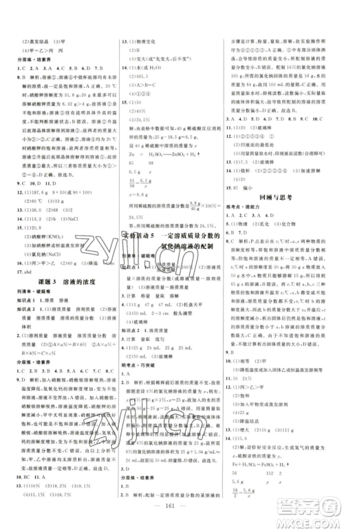 延边大学出版社2023细解巧练九年级下册化学人教版参考答案