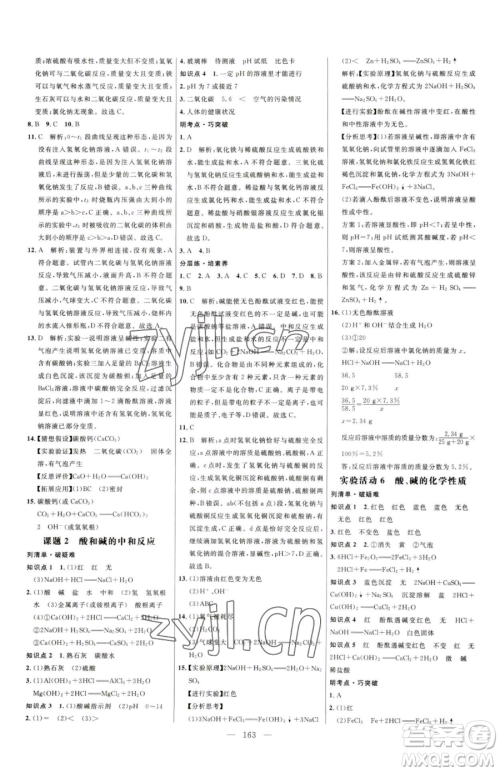 延边大学出版社2023细解巧练九年级下册化学人教版参考答案