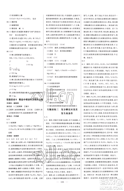 延边大学出版社2023细解巧练九年级下册化学人教版参考答案