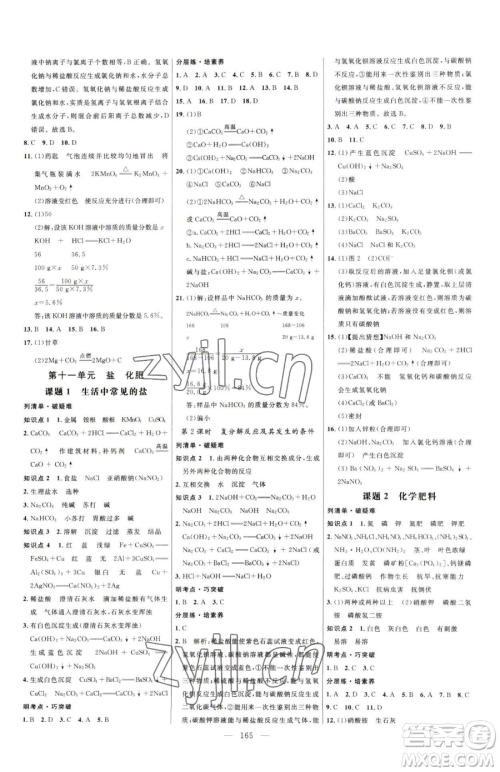 延边大学出版社2023细解巧练九年级下册化学人教版参考答案