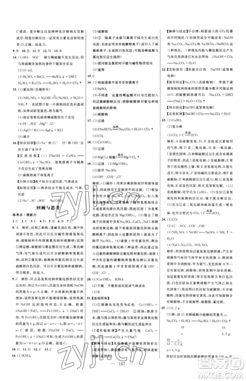 延边大学出版社2023细解巧练九年级下册化学人教版参考答案