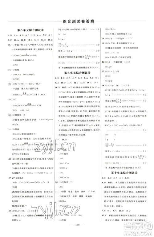 延边大学出版社2023细解巧练九年级下册化学人教版参考答案