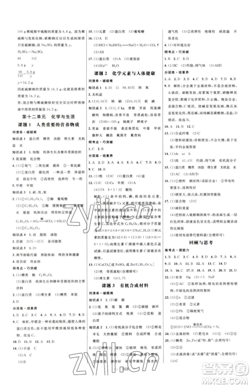 延边大学出版社2023细解巧练九年级下册化学人教版参考答案