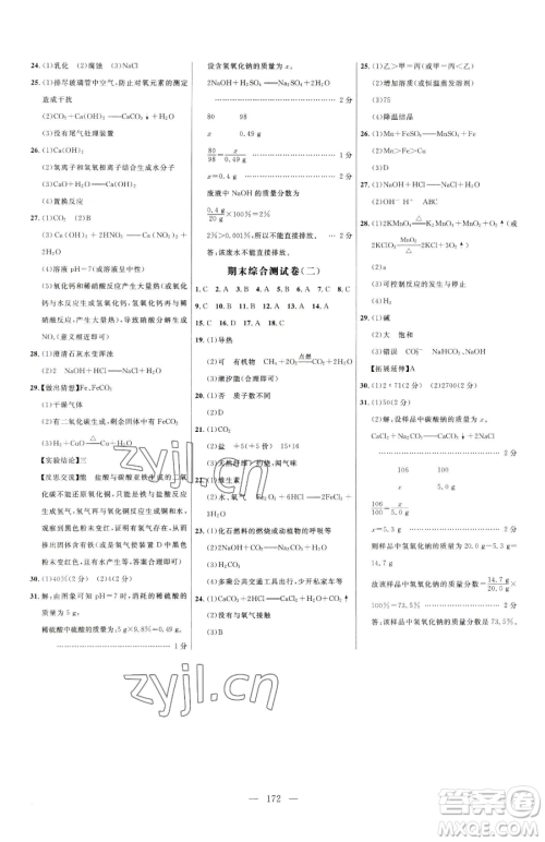 延边大学出版社2023细解巧练九年级下册化学人教版参考答案