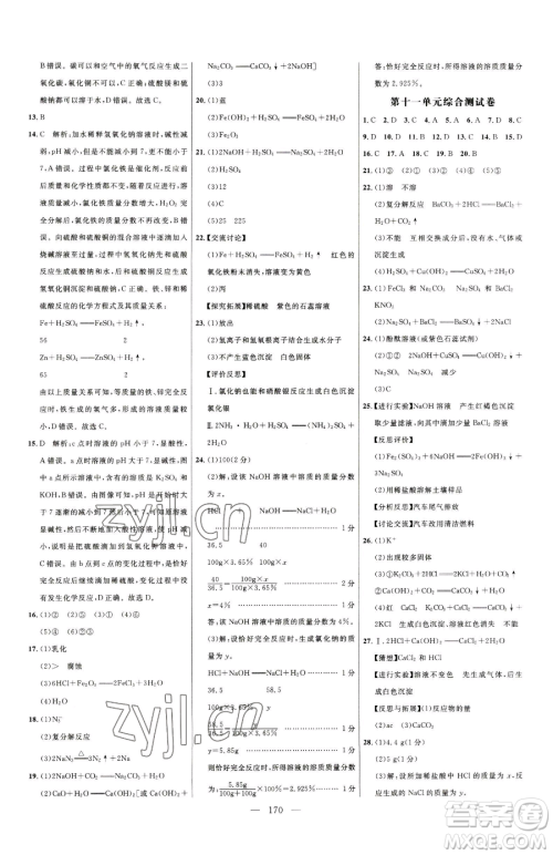 延边大学出版社2023细解巧练九年级下册化学人教版参考答案