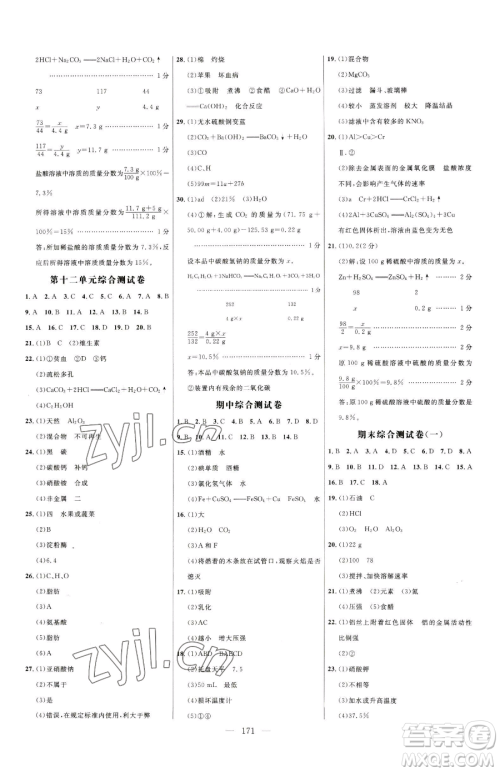 延边大学出版社2023细解巧练九年级下册化学人教版参考答案