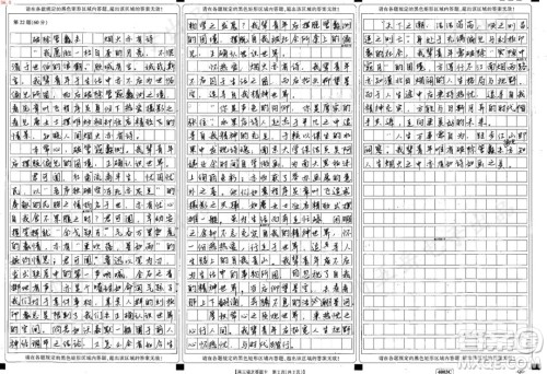 刻板印象材料作文800字 关于刻板印象的材料作文800字