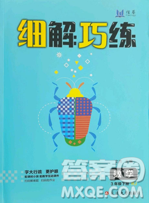 延边大学出版社2023细解巧练三年级下册数学人教版参考答案