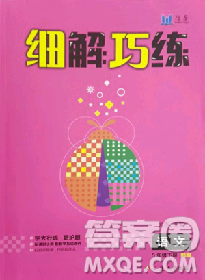 延边大学出版社2023细解巧练五年级下册语文人教版参考答案