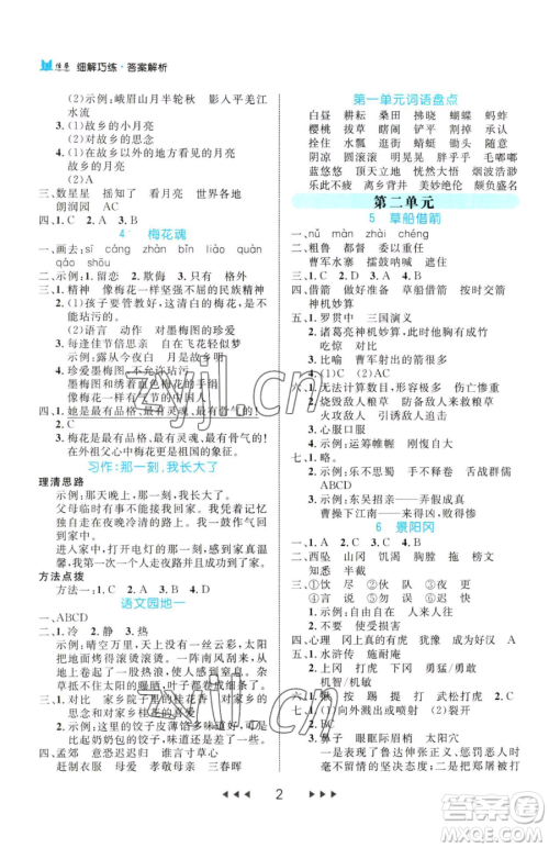 延边大学出版社2023细解巧练五年级下册语文人教版参考答案