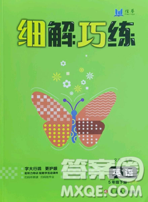 延边大学出版社2023细解巧练五年级下册英语人教版参考答案