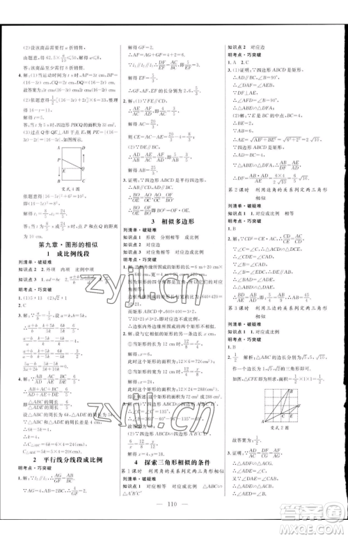 延边大学出版社2023细解巧练八年级下册数学鲁教版五四制参考答案