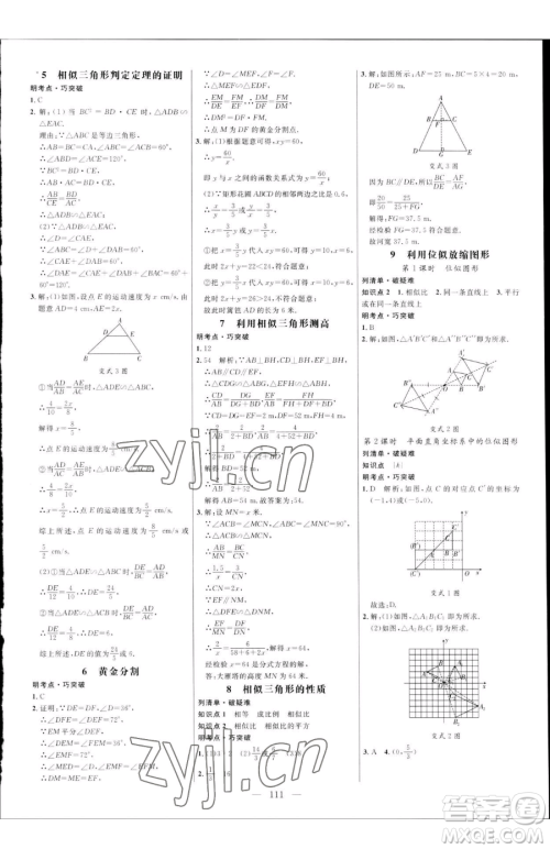 延边大学出版社2023细解巧练八年级下册数学鲁教版五四制参考答案