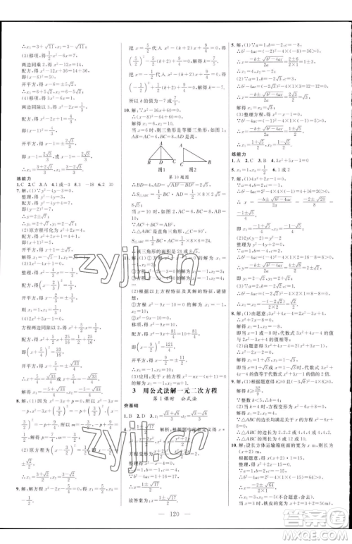 延边大学出版社2023细解巧练八年级下册数学鲁教版五四制参考答案