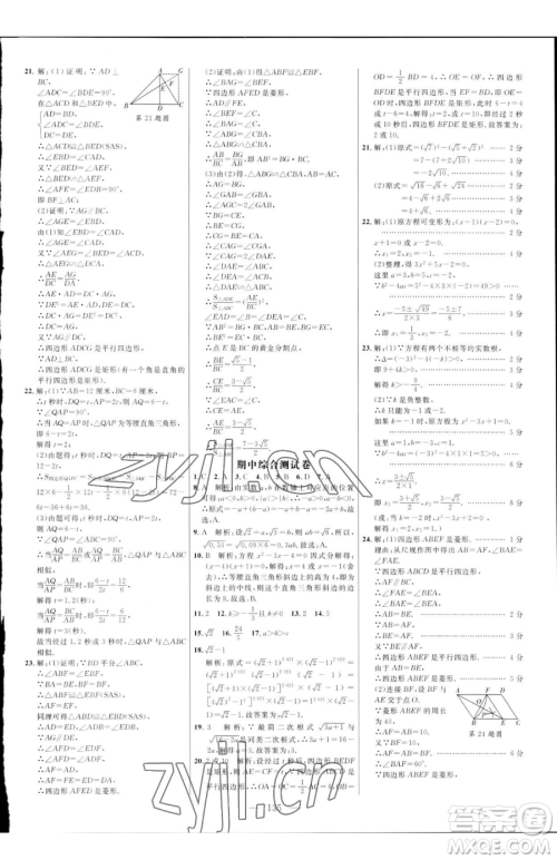 延边大学出版社2023细解巧练八年级下册数学鲁教版五四制参考答案