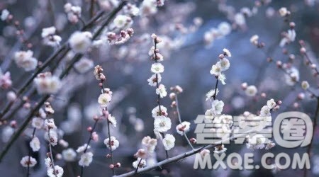 前进档倒档和空档材料作文800字 关于前进档倒档和空档的材料作文800字 前进档倒档和空档材料作文800字 关于前进档倒档和空档的材料作文800字