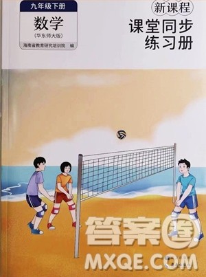 海南出版社2023新课程课堂同步练习册九年级下册数学华东师大版参考答案