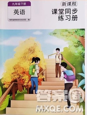 海南出版社2023新课程课堂同步练习册九年级下册英语人教版参考答案