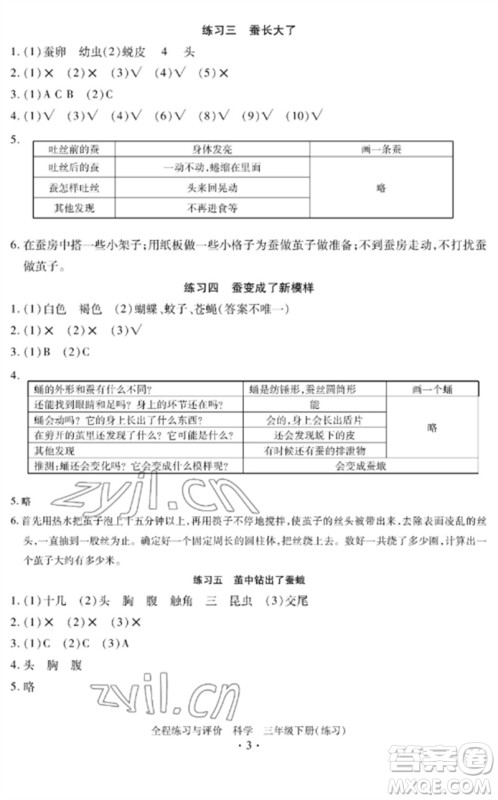 浙江人民出版社2023全程练习与评价三年级科学下册教科版参考答案