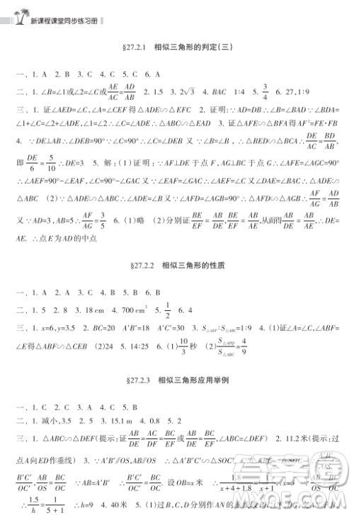 海南出版社2023新课程课堂同步练习册九年级下册数学人教版参考答案