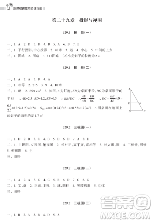 海南出版社2023新课程课堂同步练习册九年级下册数学人教版参考答案