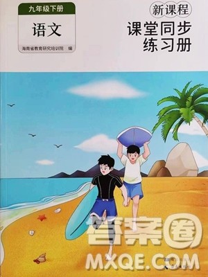 海南出版社2023新课程课堂同步练习册九年级下册语文人教版参考答案