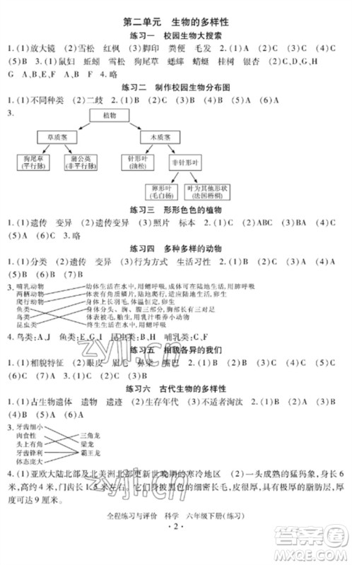 浙江人民出版社2023全程练习与评价六年级科学下册教科版参考答案
