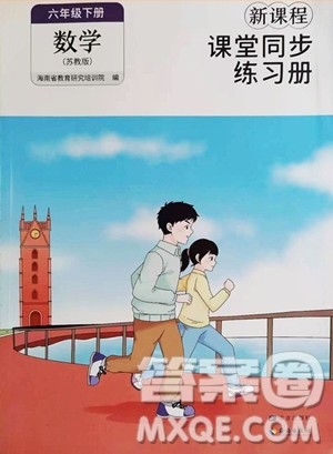 海南出版社2023新课程课堂同步练习册六年级下册数学苏教版参考答案 海南出版社2023新课程课堂同步练习册六年级下册数学苏教版参考答案