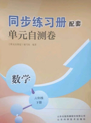 山东科学技术出版社2023同步练习册配套单元自测卷六年级数学下册人教版参考答案