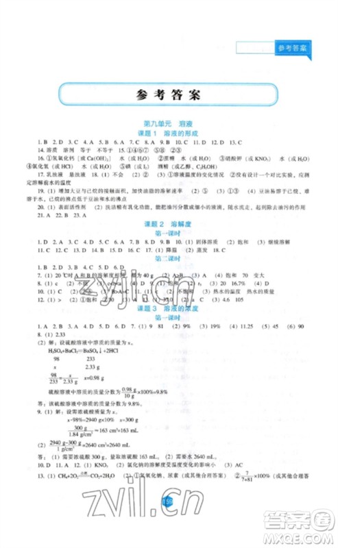 辽海出版社2023新课程化学能力培养九年级下册人教版参考答案 辽海出版社2023新课程化学能力培养九年级下册人教版参考答案