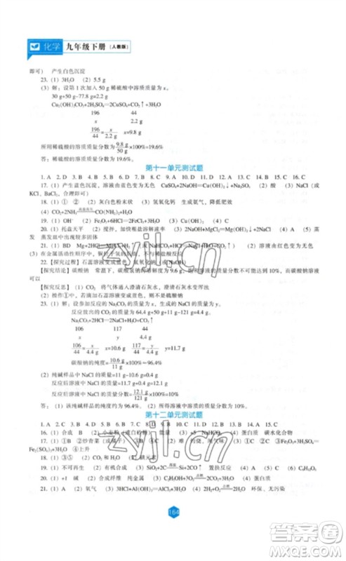 辽海出版社2023新课程化学能力培养九年级下册人教版参考答案