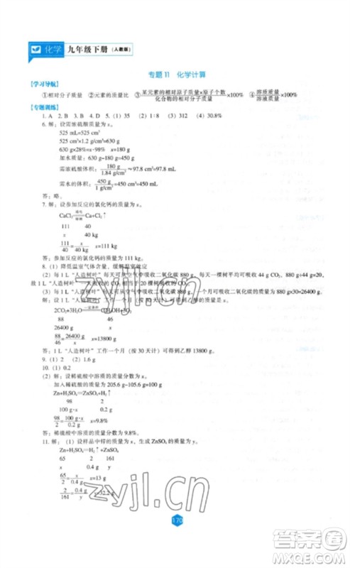 辽海出版社2023新课程化学能力培养九年级下册人教版参考答案