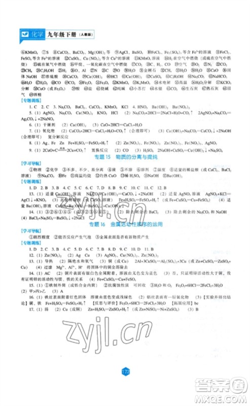 辽海出版社2023新课程化学能力培养九年级下册人教版参考答案