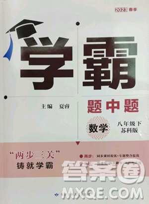 甘肃少年儿童出版社2023经纶学典学霸题中题八年级下册数学苏科版参考答案 甘肃少年儿童出版社2023经纶学典学霸题中题八年级下册数学苏科版参考答案