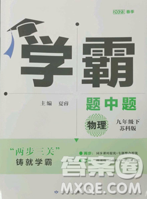 甘肃少年儿童出版社2023经纶学典学霸题中题九年级下册物理苏科版参考答案