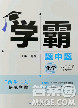 甘肃少年儿童出版社2023经纶学典学霸题中题九年级下册化学沪教版参考答案 甘肃少年儿童出版社2023经纶学典学霸题中题九年级下册化学沪教版参考答案