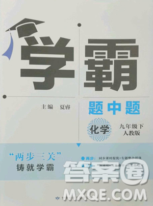 甘肃少年儿童出版社2023经纶学典学霸题中题九年级下册化学人教版参考答案