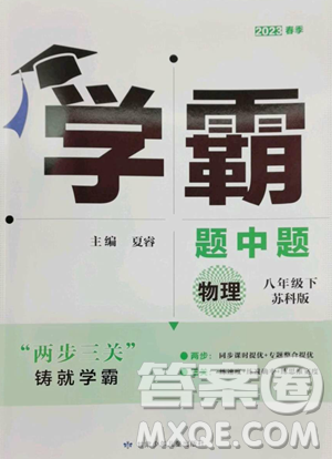 甘肃少年儿童出版社2023经纶学典学霸题中题八年级下册物理苏科版参考答案
