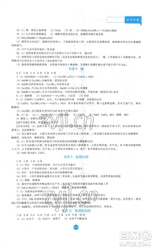 辽海出版社2023新课程化学能力培养九年级下册人教版D版大连专用参考答案