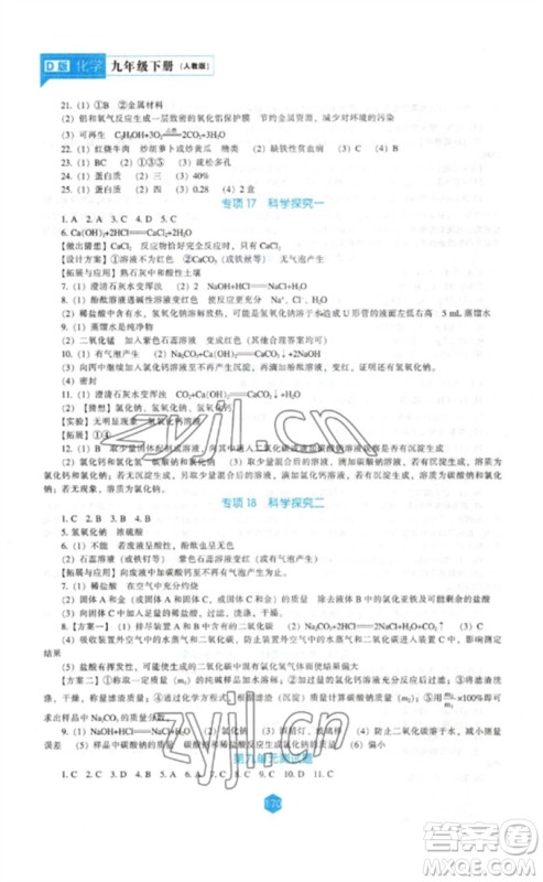 辽海出版社2023新课程化学能力培养九年级下册人教版D版大连专用参考答案