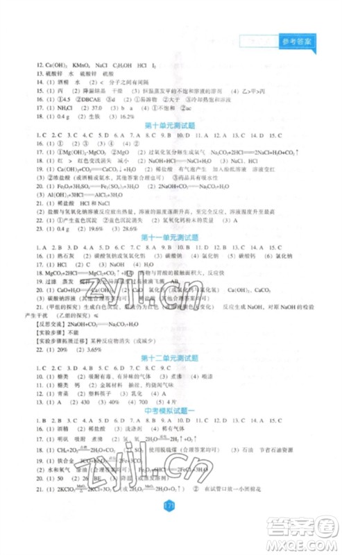 辽海出版社2023新课程化学能力培养九年级下册人教版D版大连专用参考答案