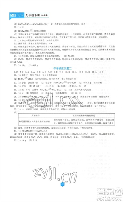 辽海出版社2023新课程化学能力培养九年级下册人教版D版大连专用参考答案